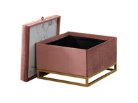 Iconic Home Adeline Velvet Storage Ottoman