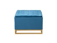 Iconic Home Adeline Velvet Storage Ottoman
