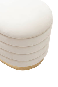 Iconic Home Cave Velvet Storage Bench