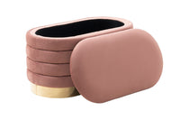 Iconic Home Cave Velvet Storage Bench