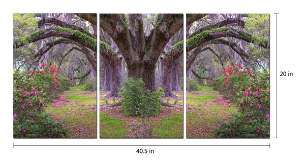 Chic Home Lavender Cherry 3 Piece Set Wrapped Canvas Wall Art Giclee Print Garden in Woods