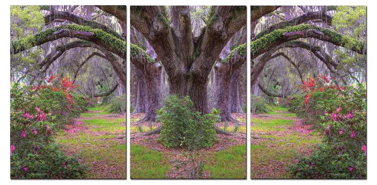 Chic Home Lavender Cherry 3 Piece Set Wrapped Canvas Wall Art Giclee Print Garden in Woods