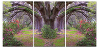 Chic Home Lavender Cherry 3 Piece Set Wrapped Canvas Wall Art Giclee Print Garden in Woods