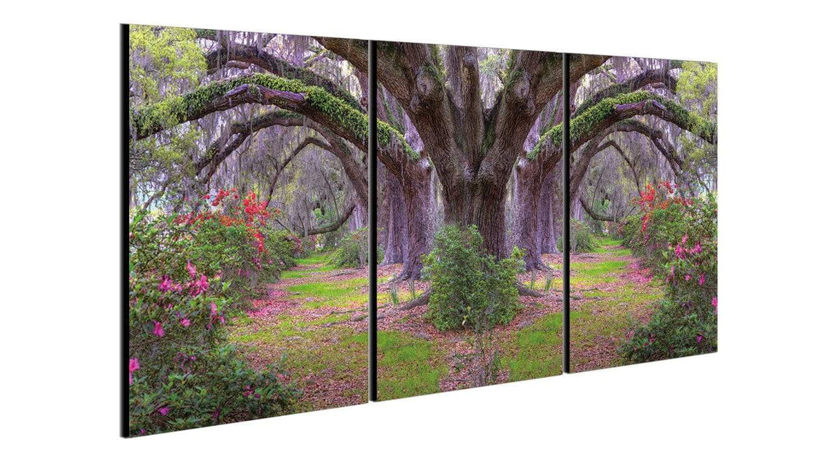 Chic Home Lavender Cherry 3 Piece Set Wrapped Canvas Wall Art Giclee Print Garden in Woods