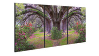 Chic Home Lavender Cherry 3 Piece Set Wrapped Canvas Wall Art Giclee Print Garden in Woods