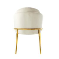 Iconic Home Anabel Velvet Dining Chair Set of 2 