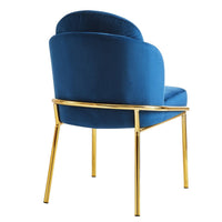 Iconic Home Anabel Velvet Dining Chair Set of 2 
