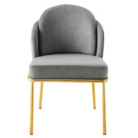 Iconic Home Anabel Velvet Dining Chair Set of 2 
