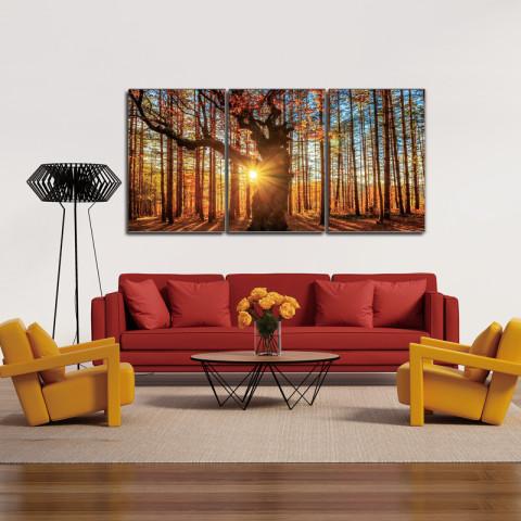 Chic Home Botanical Forest 3 Piece Set Wrapped Canvas Wall Art Giclee Print Sunrise in Woods 20" x 40.5"