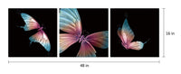 Chic Home Butterfly 3 Piece Set Wrapped Canvas Wall Art Giclee Print Painting 
