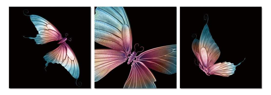Chic Home Butterfly 3 Piece Set Wrapped Canvas Wall Art Giclee Print Painting 