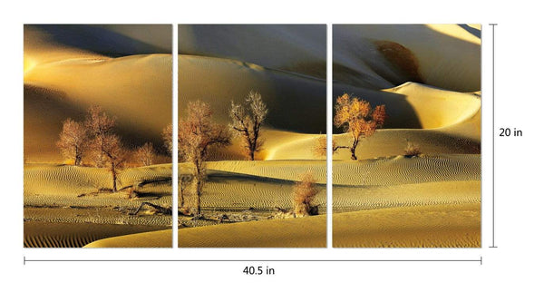 Chic Home Golden Desert 3 Piece Set Wrapped Canvas Wall Art Giclee Print Desert Sand Dunes 