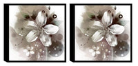 Chic Home Magnolia 2 Piece Set Framed Wrapped Canvas Wall Art Giclee Print Floral Design 