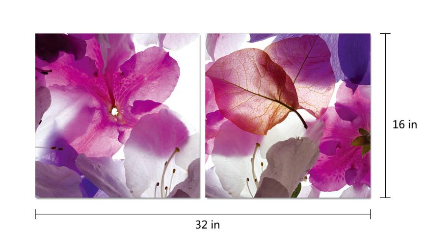 Chic Home Orchid 2 Piece Set Wrapped Canvas Wall Art Giclee Print Photographic Floral Design 