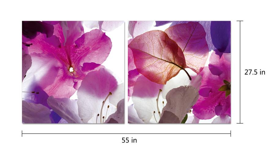 Chic Home Orchid 2 Piece Set Wrapped Canvas Wall Art Giclee Print Photographic Floral Design 