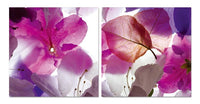 Chic Home Orchid 2 Piece Set Wrapped Canvas Wall Art Giclee Print Photographic Floral Design 