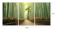 Chic Home Pine Road 3 Piece Set Wrapped Canvas Wall Art Giclee Print Path in the Forest 