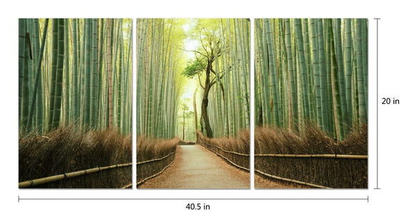 Chic Home Pine Road 3 Piece Set Wrapped Canvas Wall Art Giclee Print Path in the Forest 