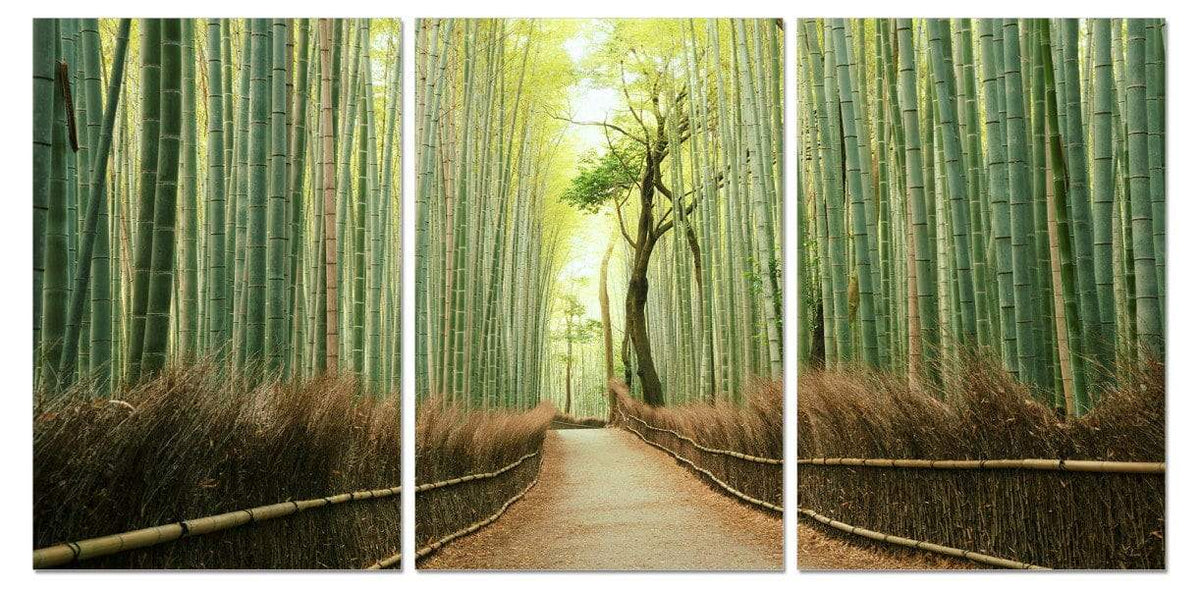 Chic Home Pine Road 3 Piece Set Wrapped Canvas Wall Art Giclee Print Path in the Forest 