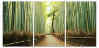 Chic Home Pine Road 3 Piece Set Wrapped Canvas Wall Art Giclee Print Path in the Forest 