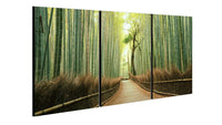 Chic Home Pine Road 3 Piece Set Wrapped Canvas Wall Art Giclee Print Path in the Forest 