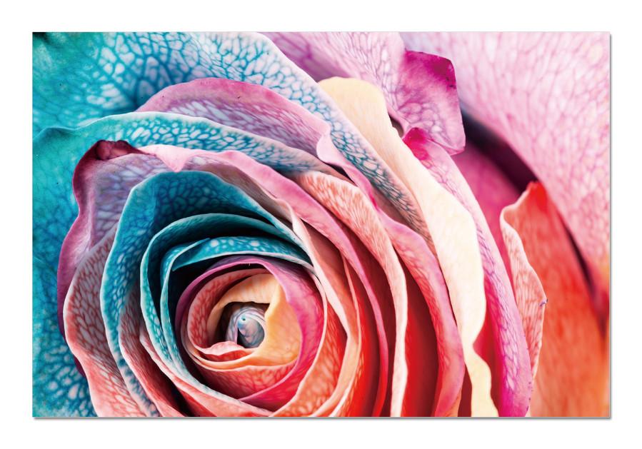 Chic Home Rosalia 1 Piece Wrapped Canvas Wall Art Giclee Print Floral Rose in Bloom 