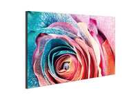 Chic Home Rosalia 1 Piece Wrapped Canvas Wall Art Giclee Print Floral Rose in Bloom 