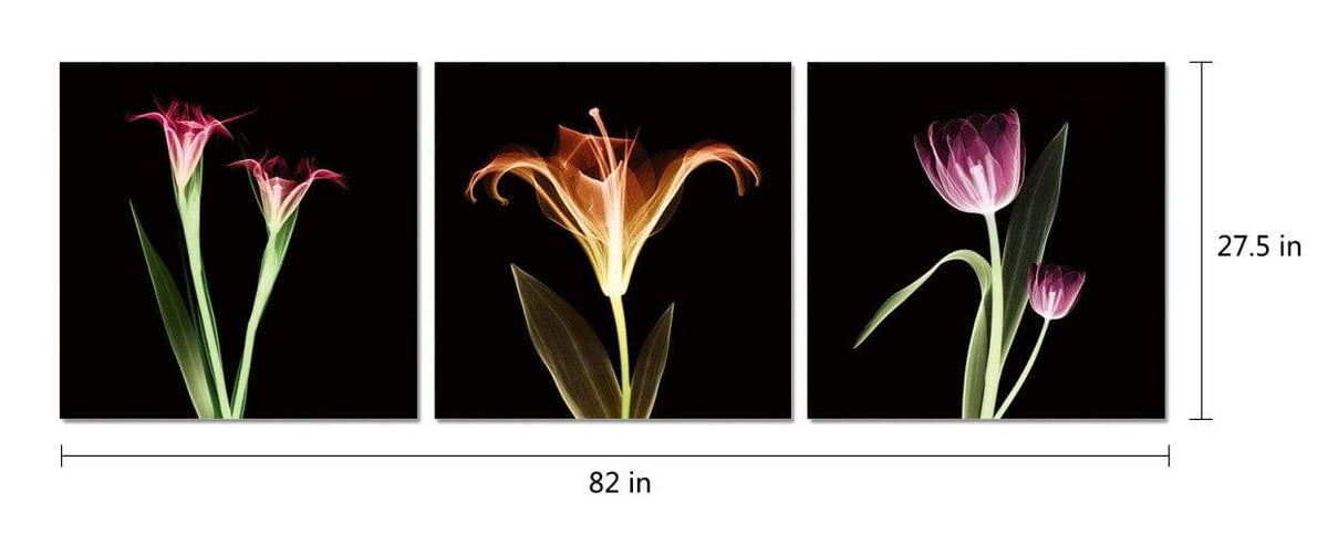 Chic Home Tropical 3 Piece Set Wrapped Canvas Wall Art Giclee Print X-Ray Photographic Design 