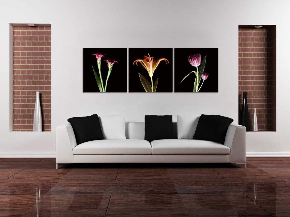 Chic Home Tropical 3 Piece Set Wrapped Canvas Wall Art Giclee Print X-Ray Photographic Design 16" x 48"