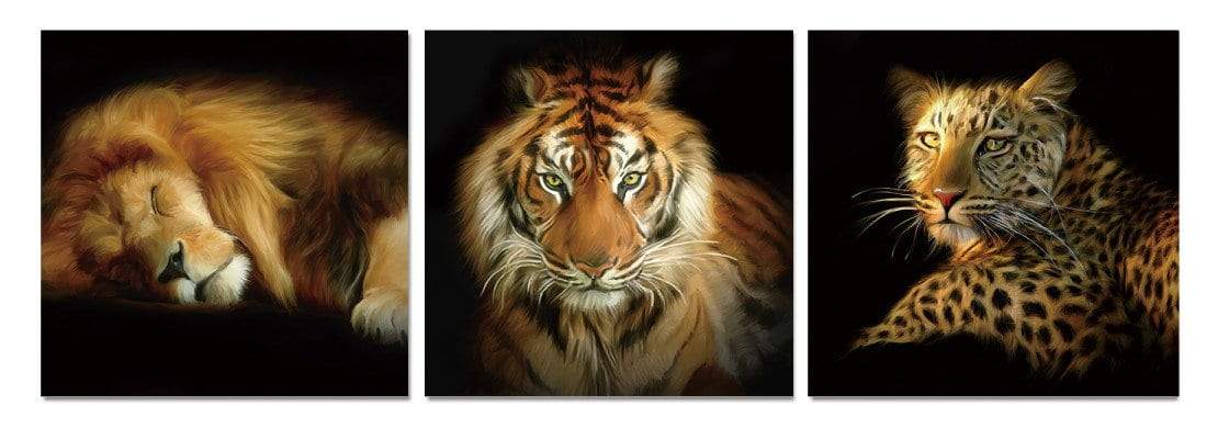 Chic Home Wild Safari 3 Piece Set Wrapped Canvas Wall Art Giclee Print Lion Tiger Leopard 