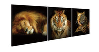 Chic Home Wild Safari 3 Piece Set Wrapped Canvas Wall Art Giclee Print Lion Tiger Leopard 