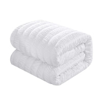 Chic Home Hadassah 10 Piece Striped Comforter Set 