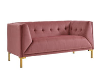 Iconic Home Azalea Tufted Velvet Loveseat Sofa 