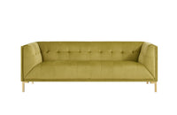 Iconic Home Azalea Tufted Velvet Sofa 