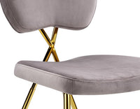 Iconic Home Chrissy Velvet Side Dining Chair Set of 2 