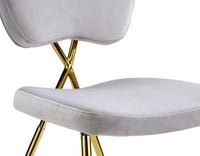 Iconic Home Chrissy Velvet Side Dining Chair Set of 2 