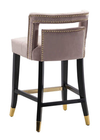 Iconic Home Irithel Velvet Counter Stool Chair Half Back Seat 