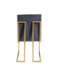 Iconic Home Liam Velvet Side Dining Chair Set of 2 