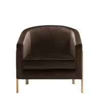 Iconic Home Monte Velvet Accent Club Chair Brass Frame 