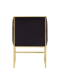 Iconic Home Rowan Velvet Accent Chair Brass Metal Frame 