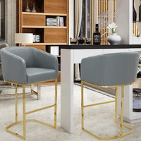 Iconic Home Tess Faux Leather Bar Stool Chair Gold Base Grey