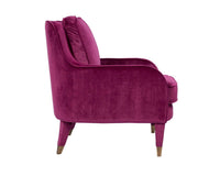 Iconic Home Tzivia Plush Velvet Accent Club Chair 